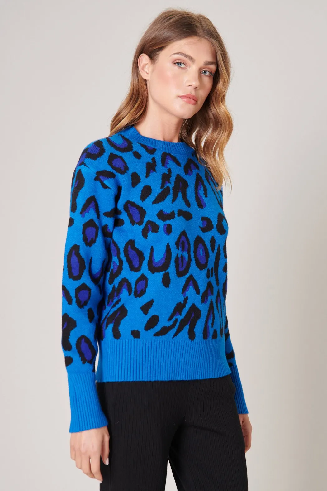 Charmed Leopard Print Sweater