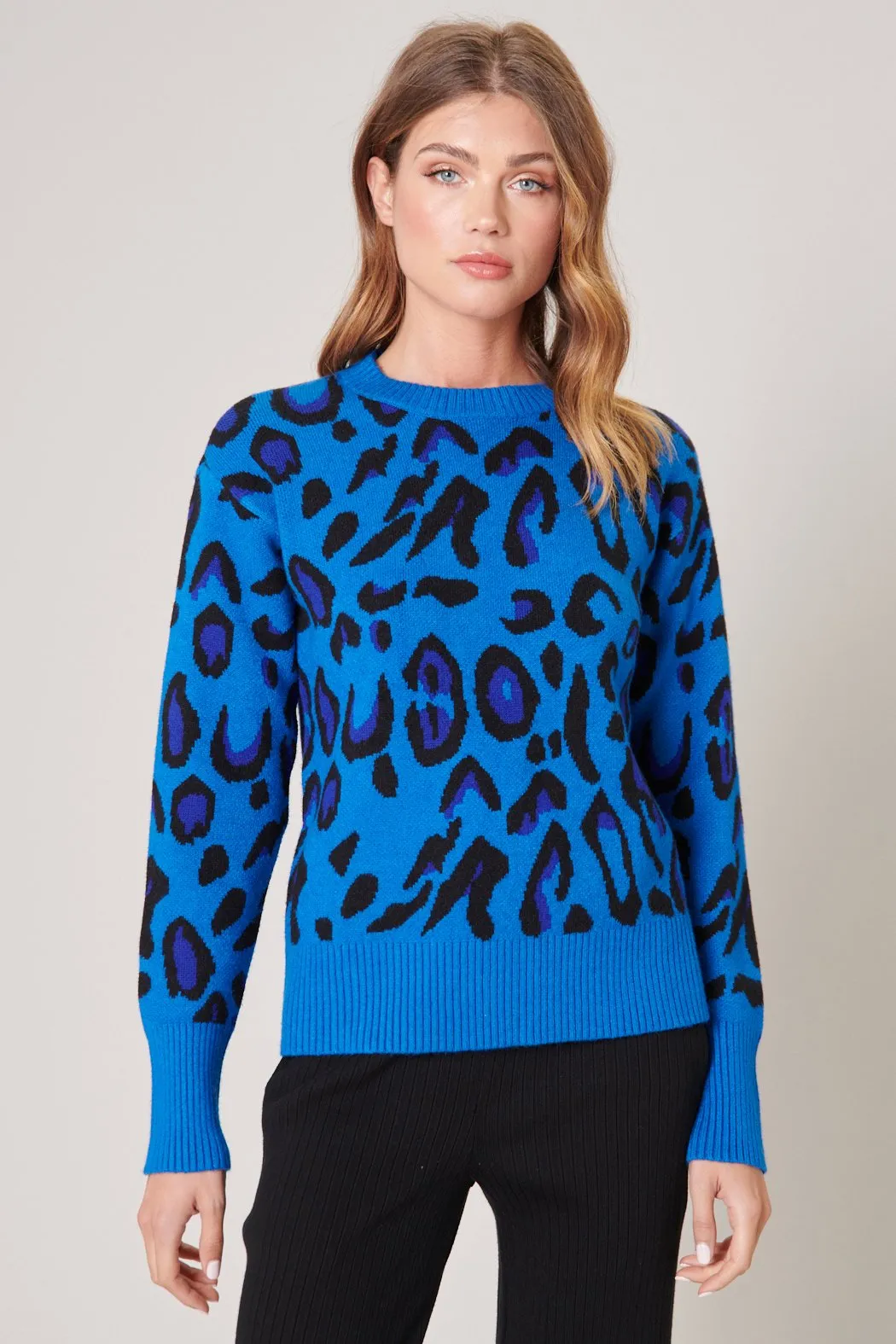 Charmed Leopard Print Sweater