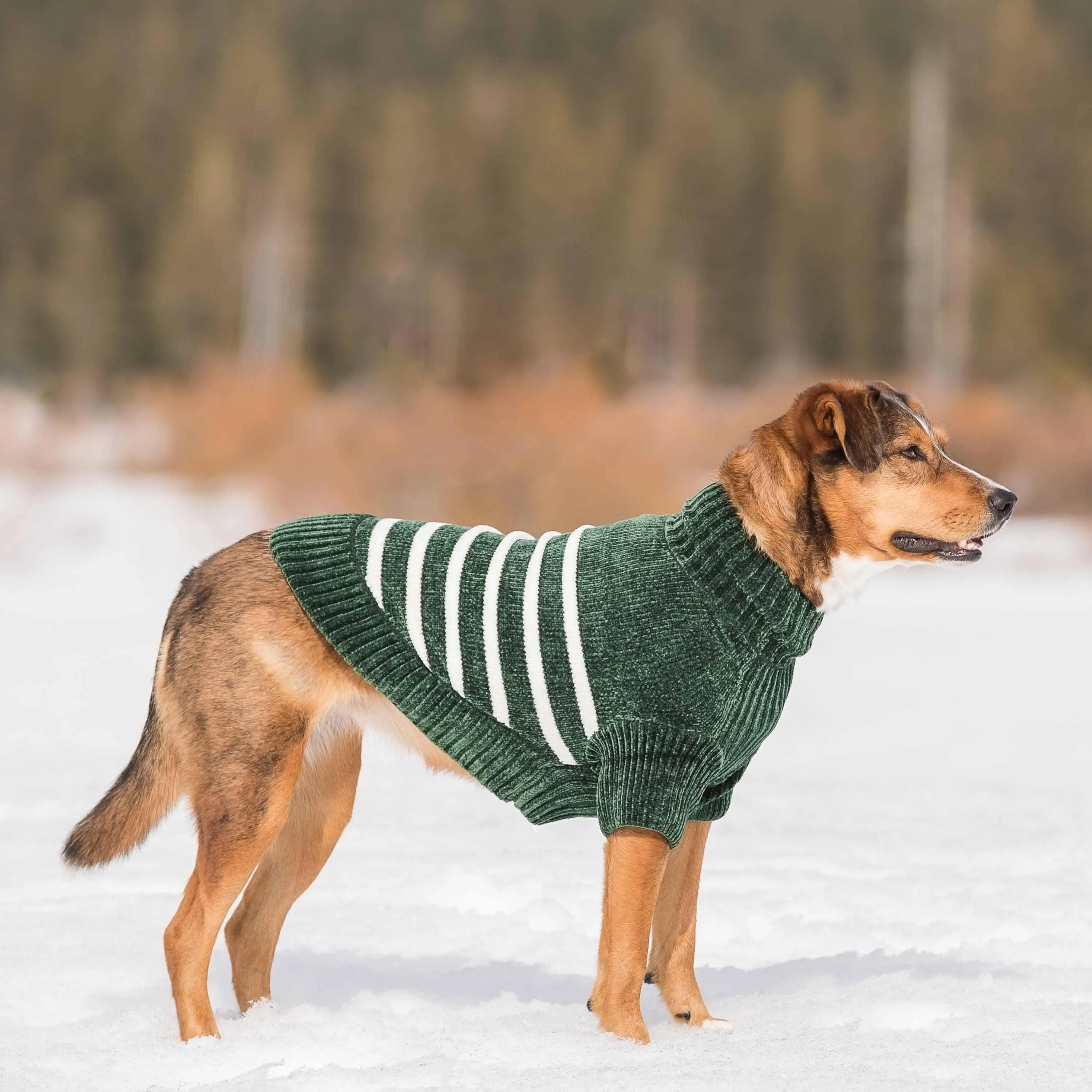 Cozy Soft Chenille Classy Striped Dog Sweater