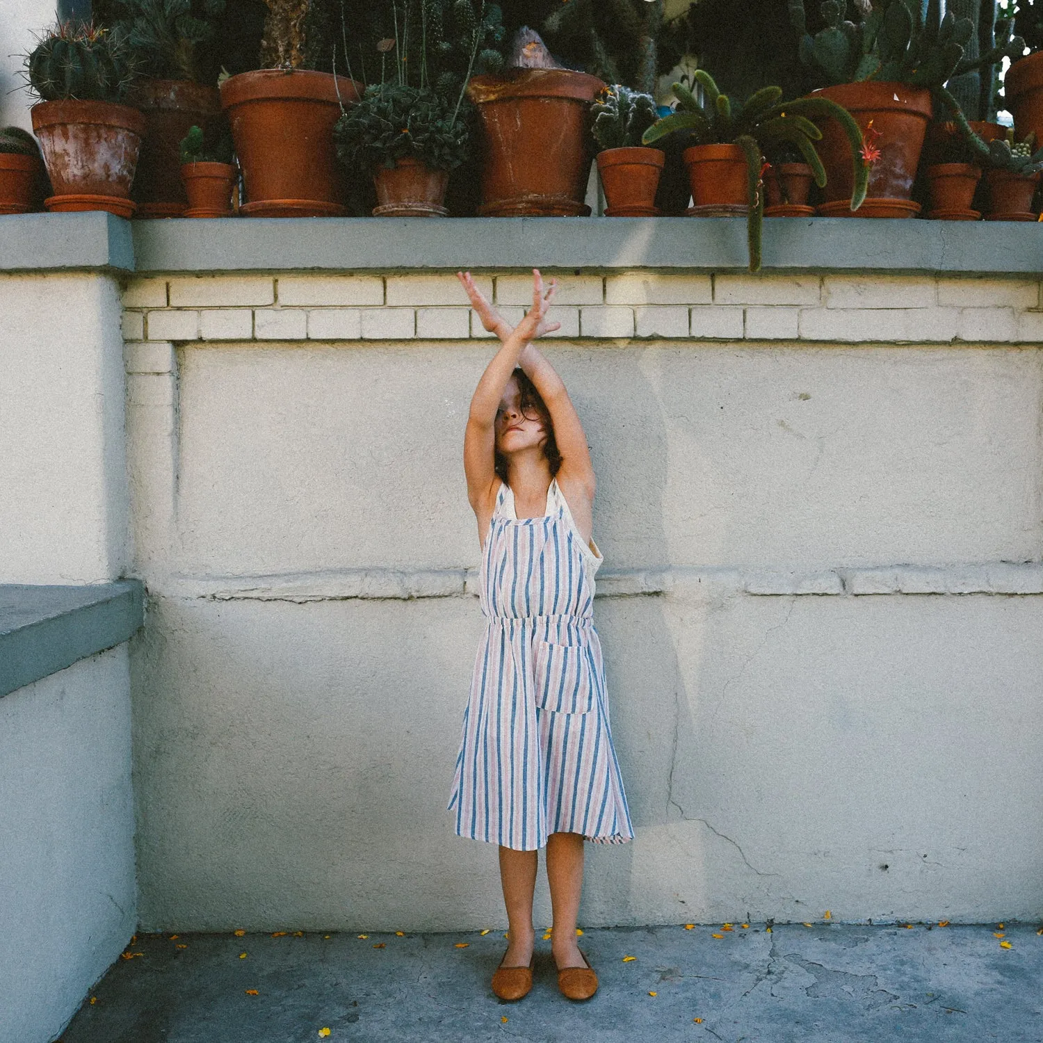 Rose Apron Dress